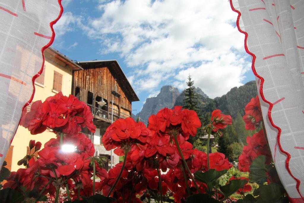 Dolomites Holidays Selva di Cadore Room photo